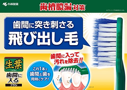 生葉歯間に入るブラシ レギュラー ふつう 容量1ホン 小林製薬 歯ブラシ
