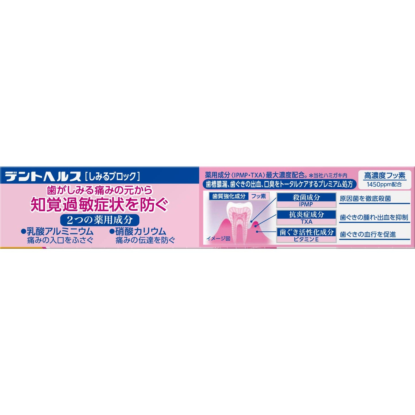デントヘルス薬用ハミガキしみるブロック 28g 容量28G ライオン 歯磨き