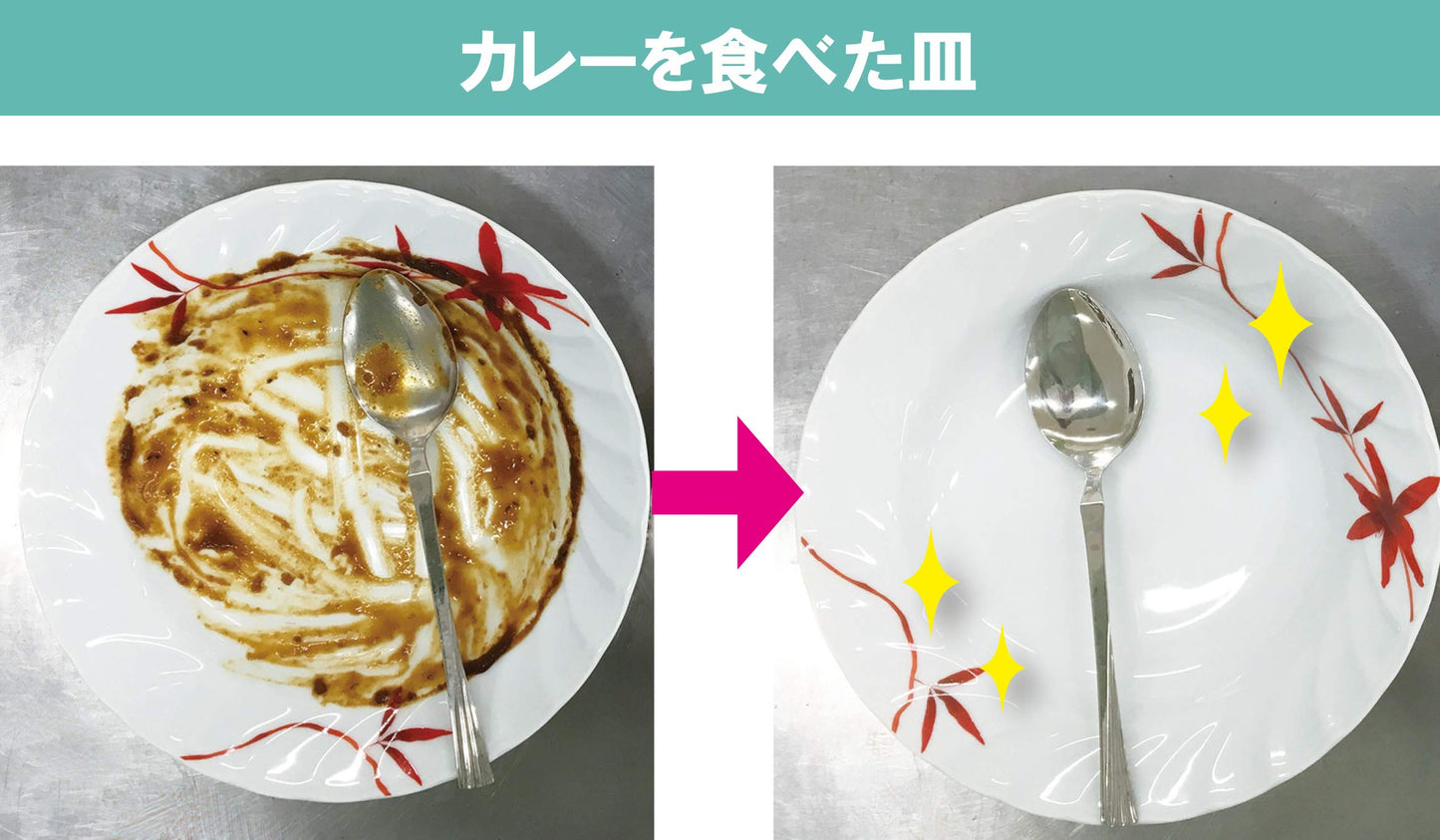 クリーン食器洗い乾燥機専用洗浄剤 500g 容量500G ちのしお社 食器用洗剤