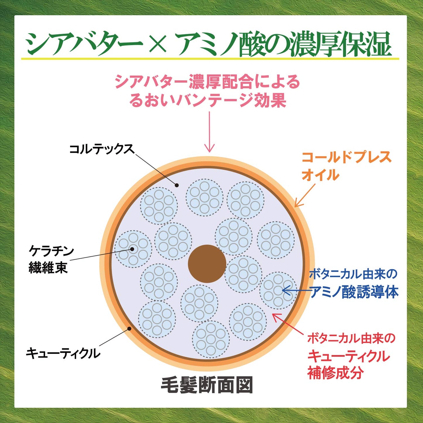 SS ビオリス ヴィーガニー ボタニカル シアバンテージ ミルキーバーム容量100MLコーセーコスメポート
