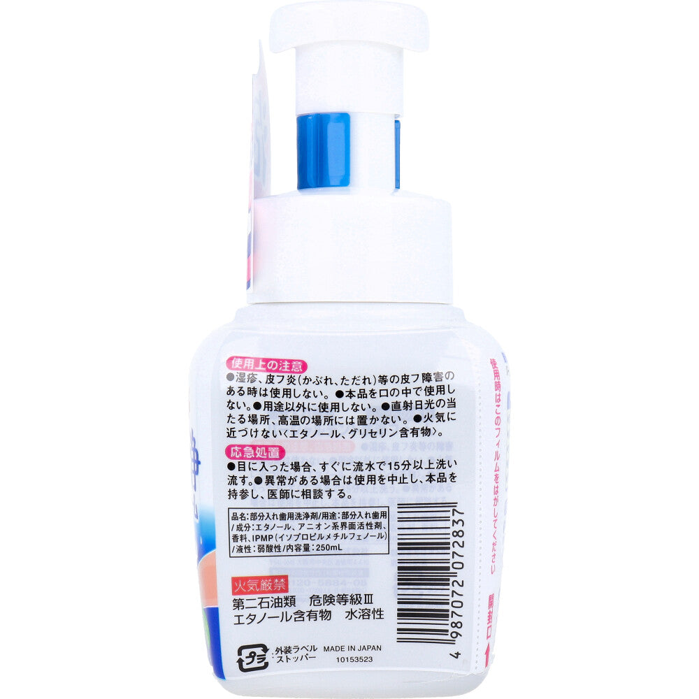 パーシャルデント洗浄フォーム 部分入れ歯用 ミントの香り 250mL - MONOW 公式ショップ