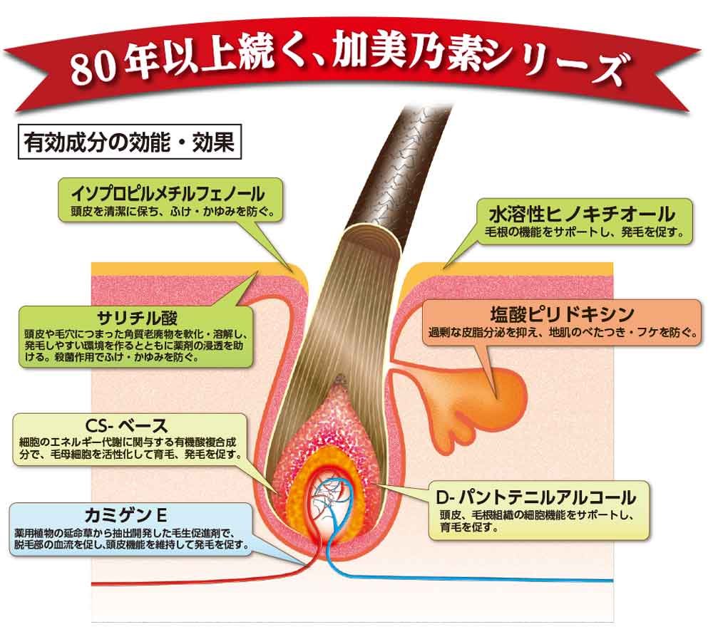 加美乃素A 容量200ML 加美乃素本舗 育毛剤・養毛剤