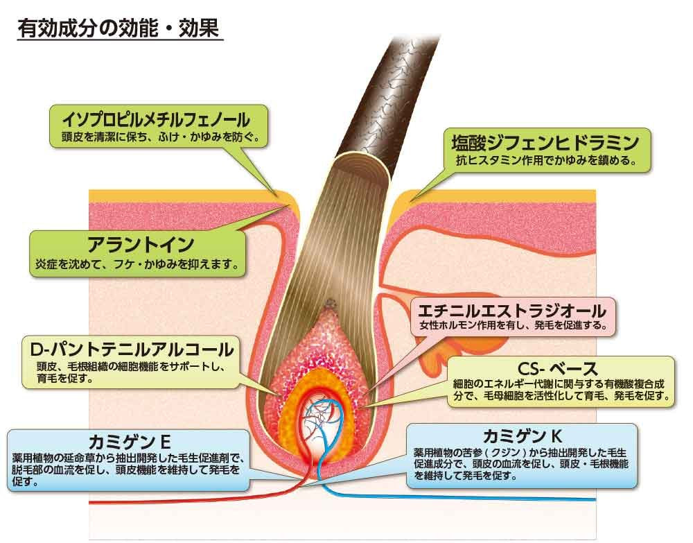 薬用加美乃素S-II 無香料 容量180ML 加美乃素本舗 育毛剤・養毛剤