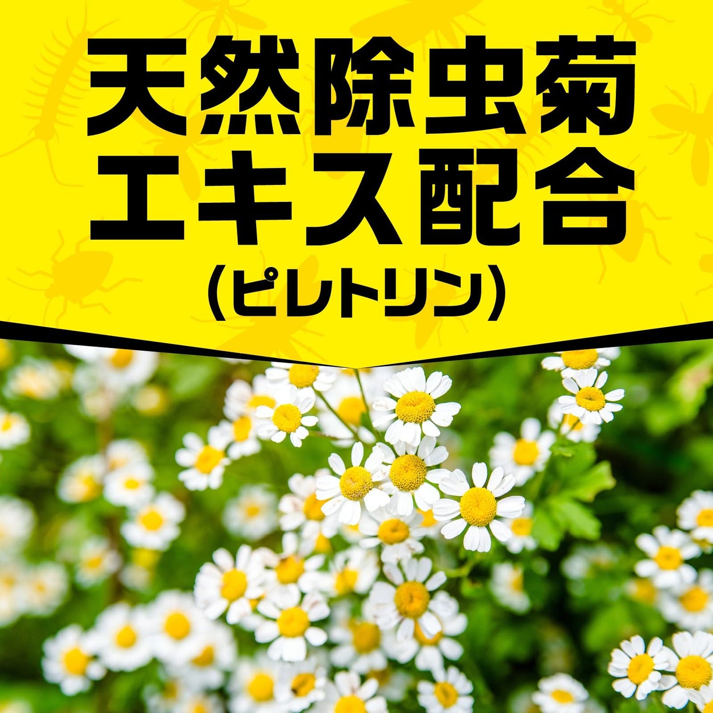 虫コロリアース (エアゾール) 容量300ML アース製薬 殺虫剤