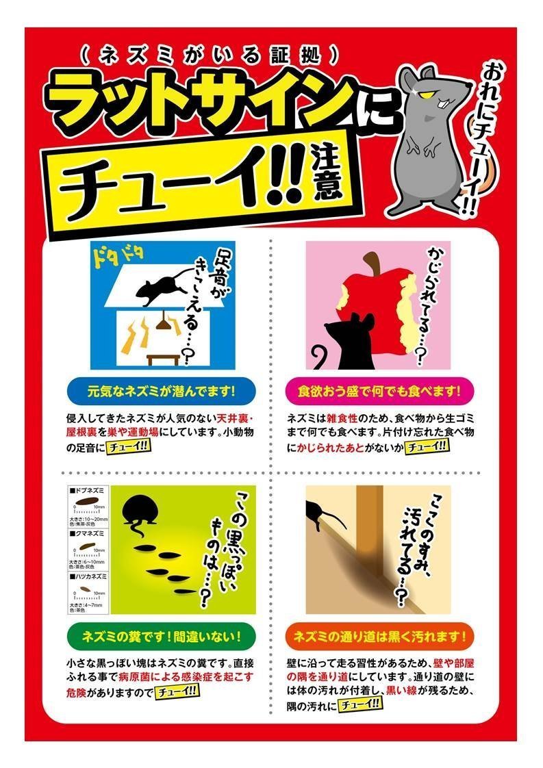 デスモアプロ 投げ込みタイプ 容量12包 アース製薬 殺虫剤・ネズミ