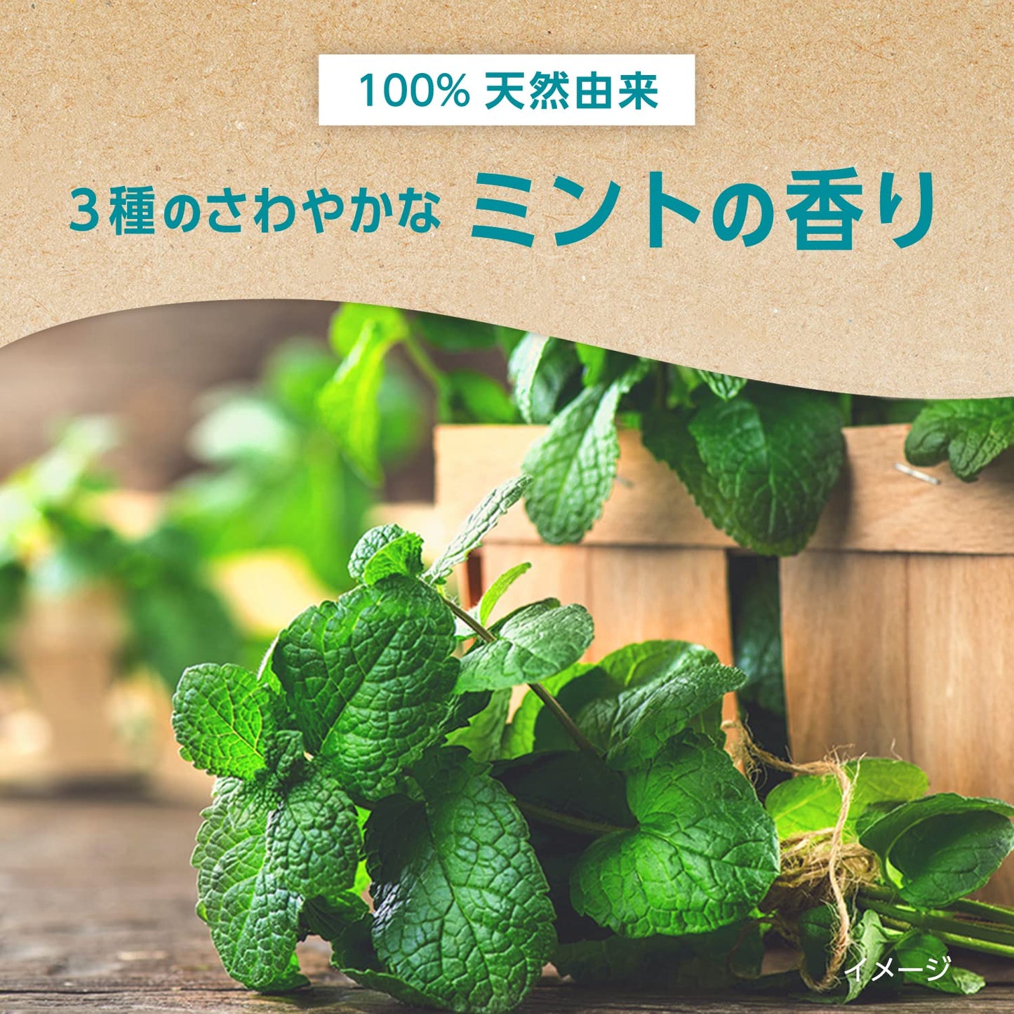 【まとめ買い】ナチュラルズ by アクアフレッシュ フレッシュミント 160g 容量160G×12点セット歯磨き