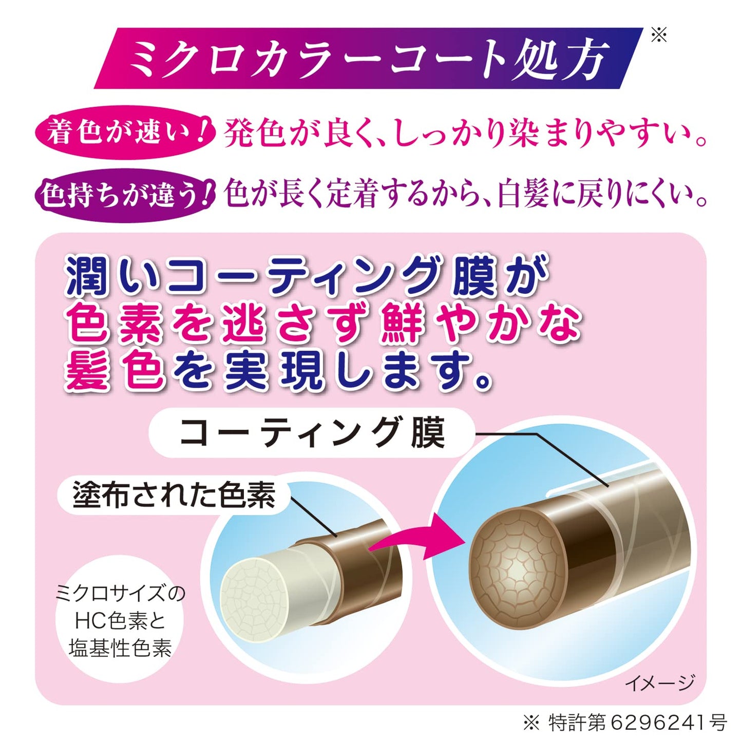 【まとめ買い】テンスター カラーシャンプー ダークブラウン(詰替用) 容量260ML×24点セット 三宝商事 ヘアカラー・白髪用