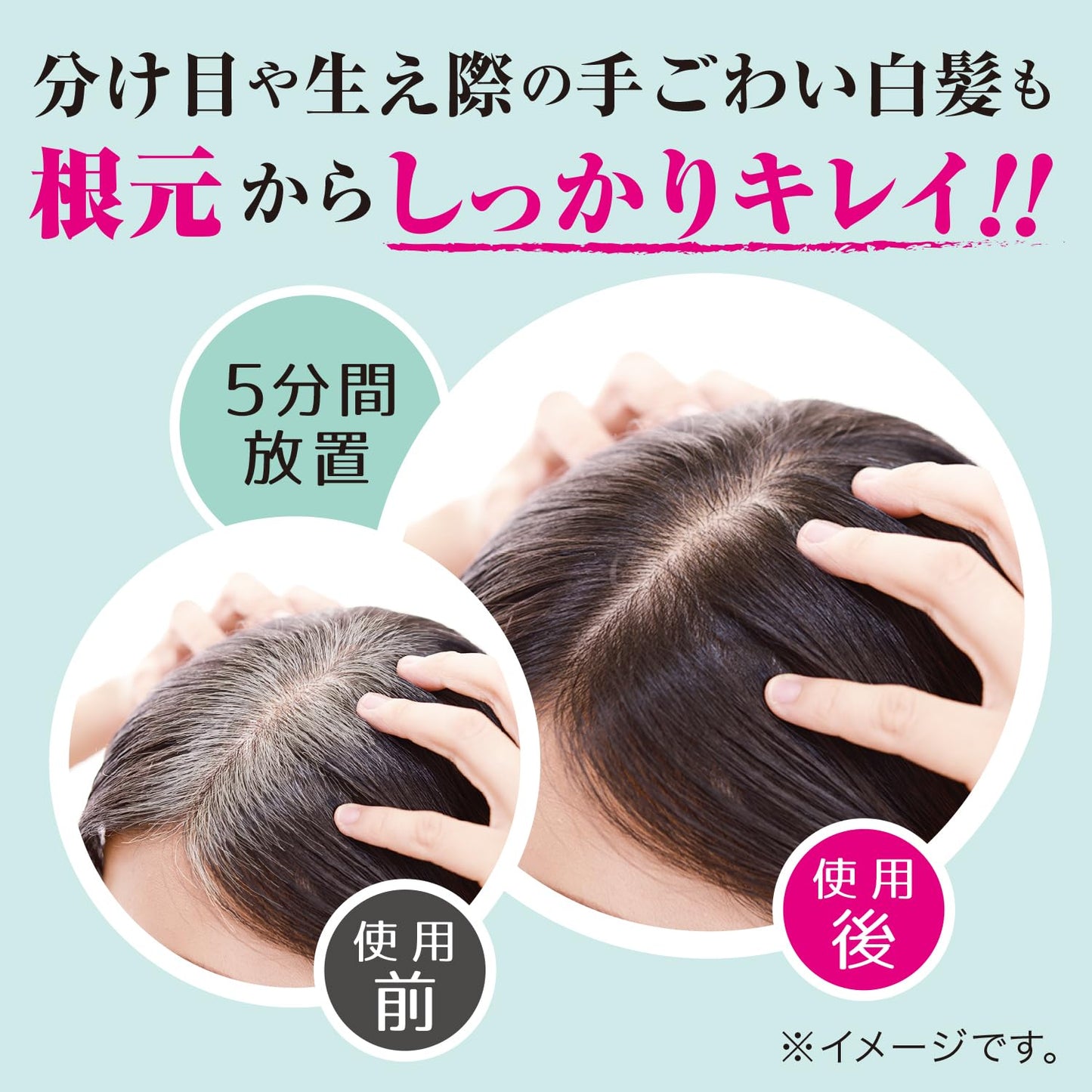 【まとめ買い】テンスター カラートリートメント WBR 容量250G×6点セット 三宝商事 ヘアカラー・白髪用