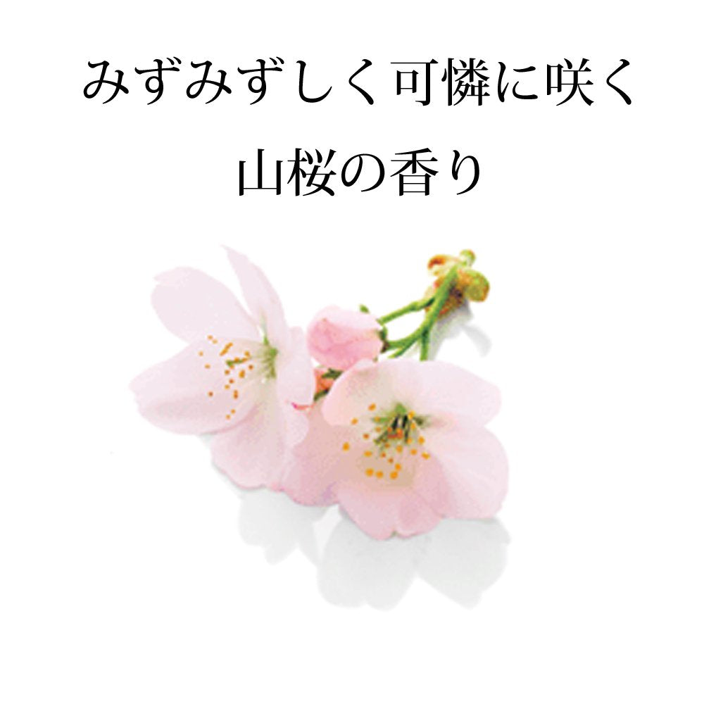 【まとめ買い】いち髪 髪&地肌うるおう寝ぐせ直し和草シャワー 容量250ML×24点セット クラシエ スタイリング