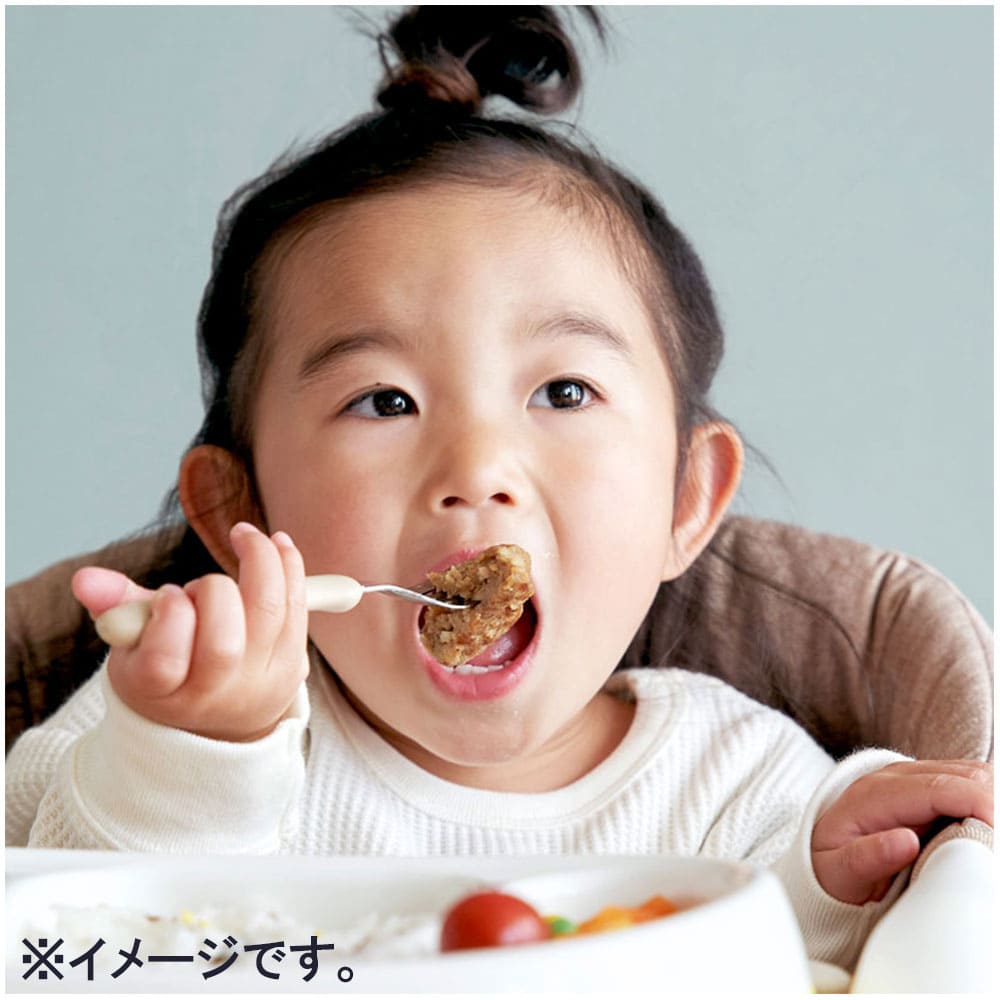エジソンママのフォーク&スプーン ケース付 パンプキン&キャロット