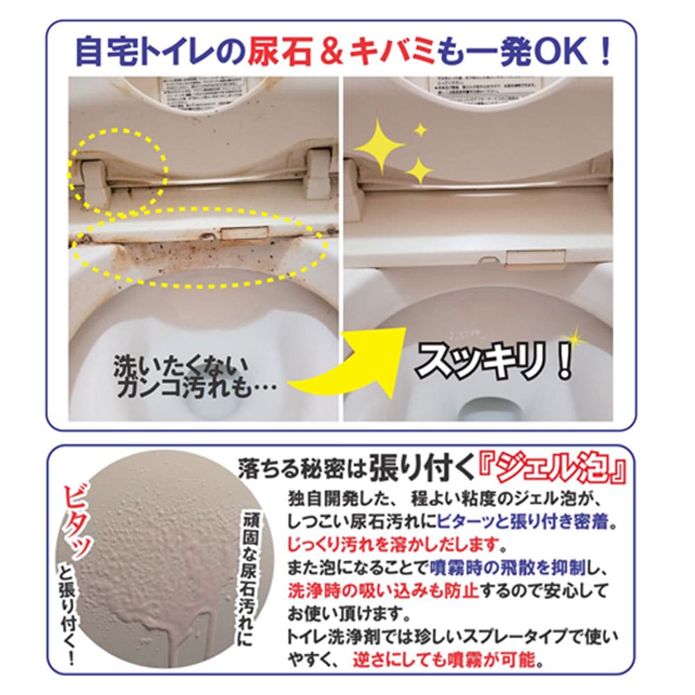 輝きが戻る 尿石洗浄剤 500mL