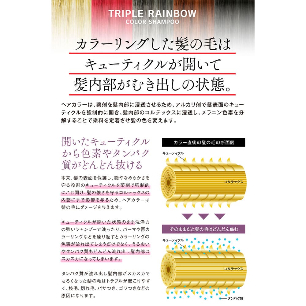 トリプルレインボー カラーシャンプー シルバー 300mL