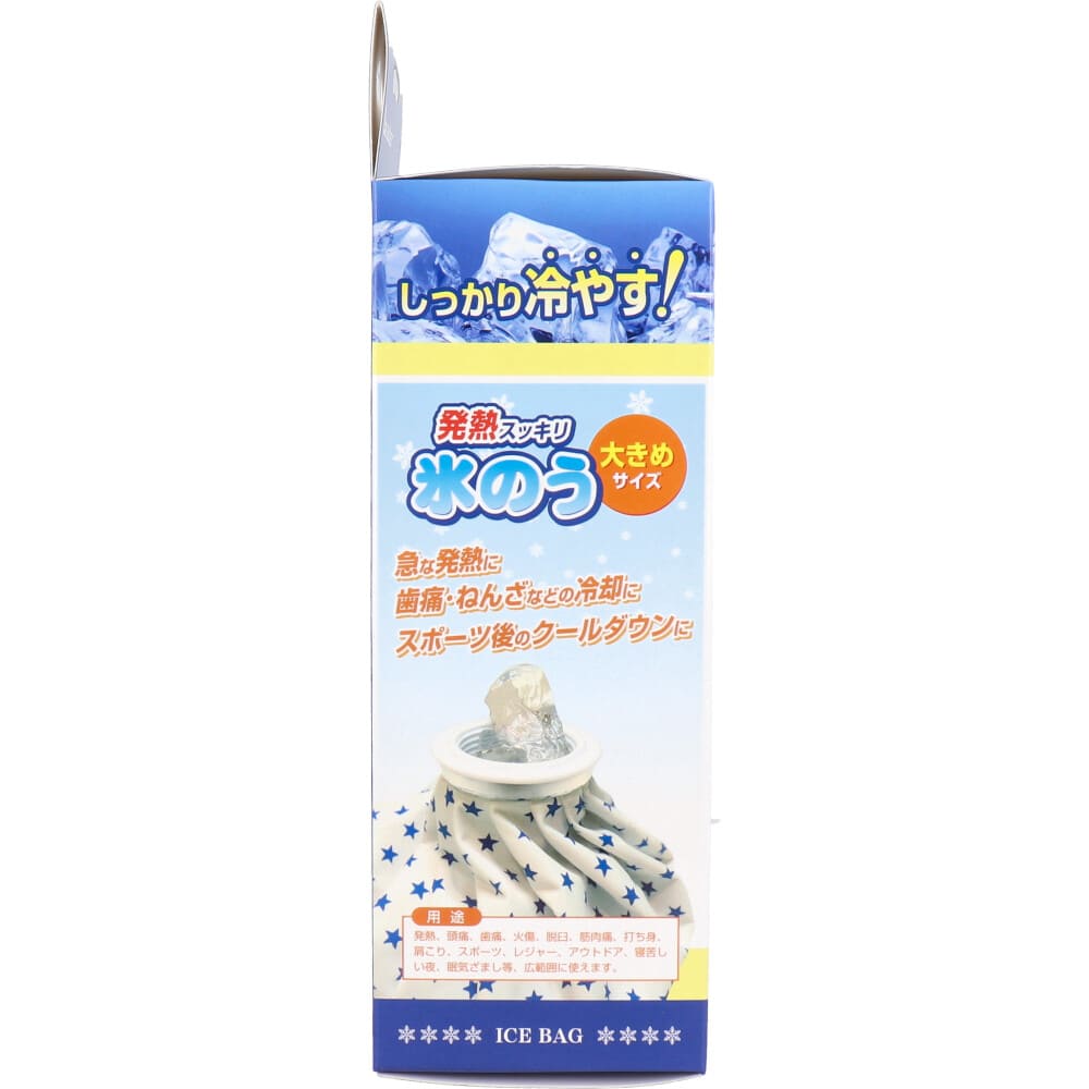 リーダー 発熱スッキリ 氷のう 大きめサイズ 1個入