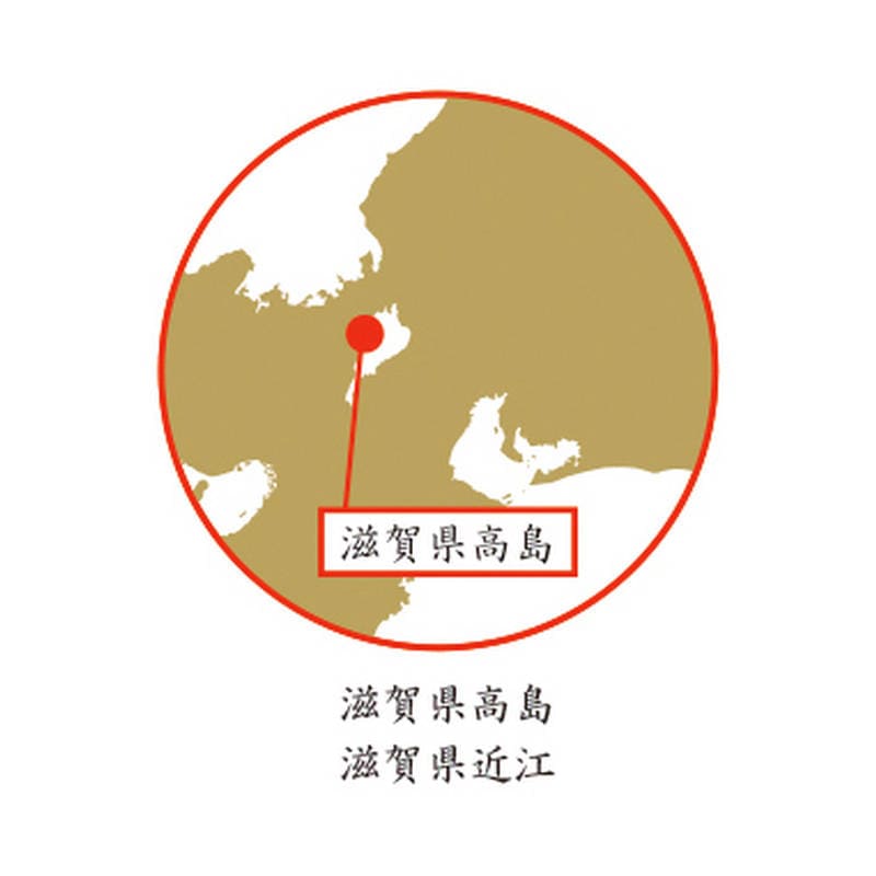 高島ちぢみ 清涼 肌布団 2枚セット TK0720