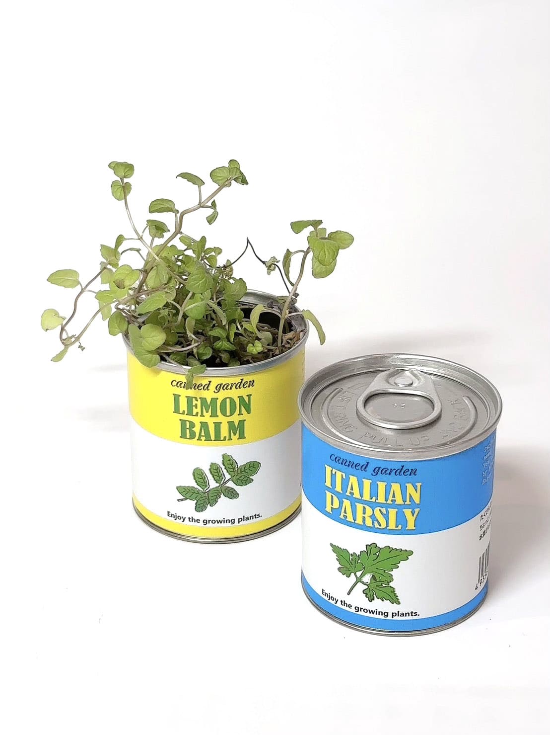 Canned garden Sサイズ イタリアンパセリ 栽培キット