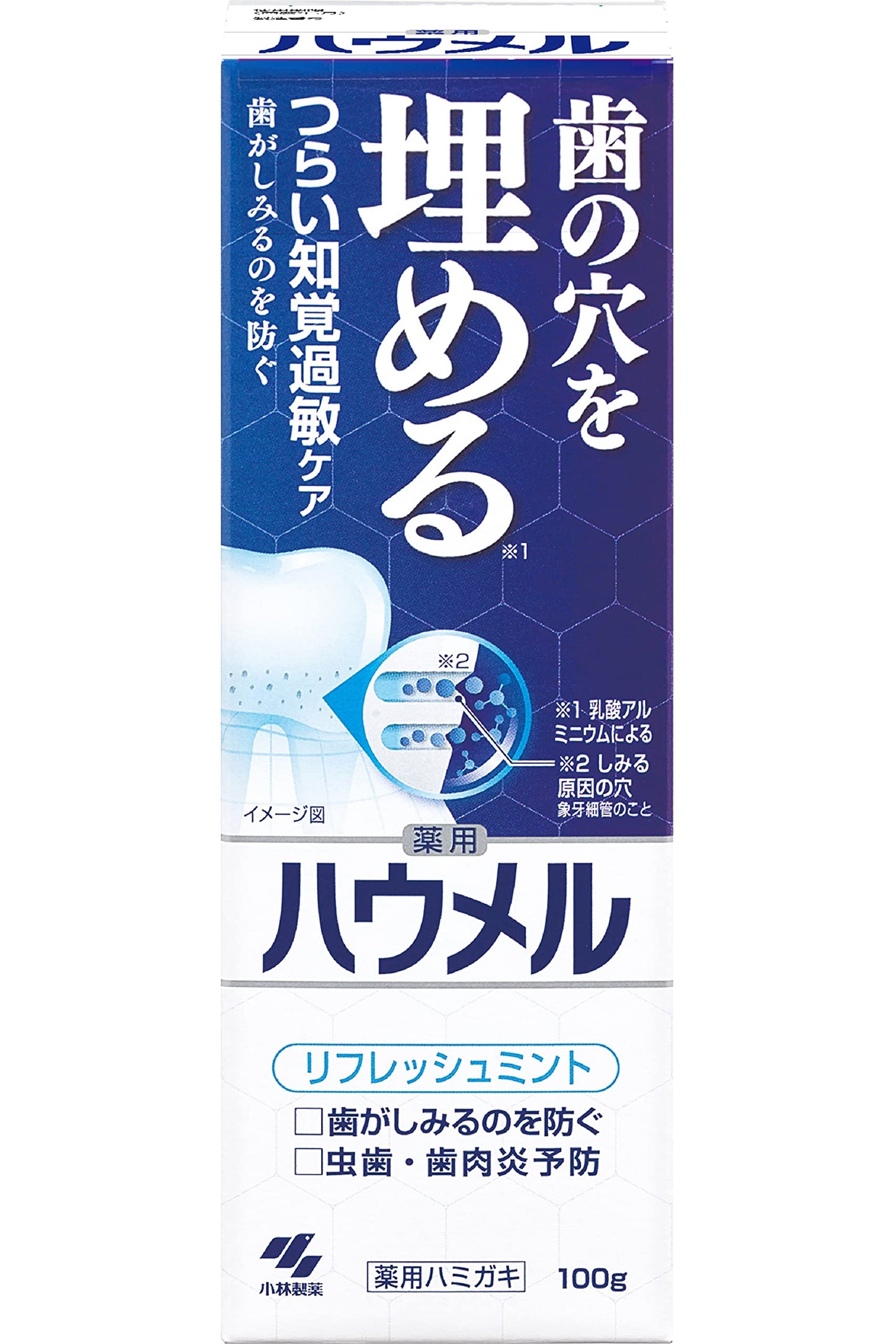 ハウメル 容量100G 小林製薬 歯磨き