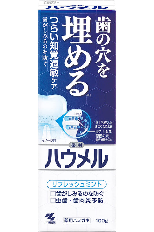 ハウメル 容量100G 小林製薬 歯磨き