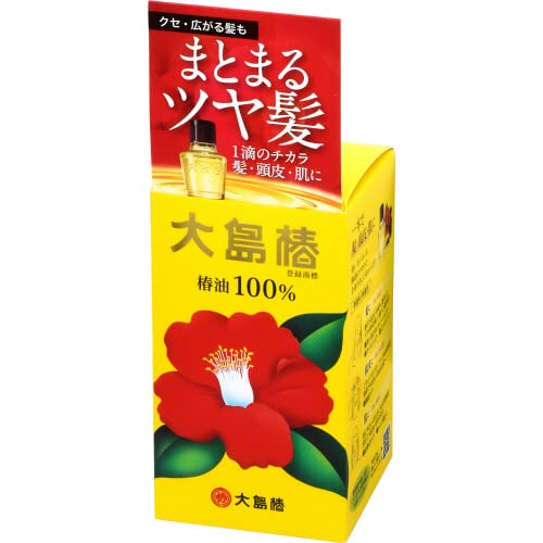 大島椿４０ｍｌ 容量40ML 大島椿 スタイリング