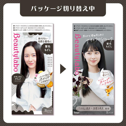 BeautyLabo（ビューティラボ） ホイップヘアカラー 髪色もどし ナチュラルブラック 容量125MLヘアカラー・黒髪用