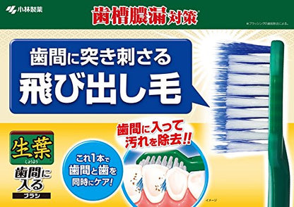 生葉歯間に入るブラシ　レギュラー　ふつう 容量1ホン 小林製薬 歯ブラシ