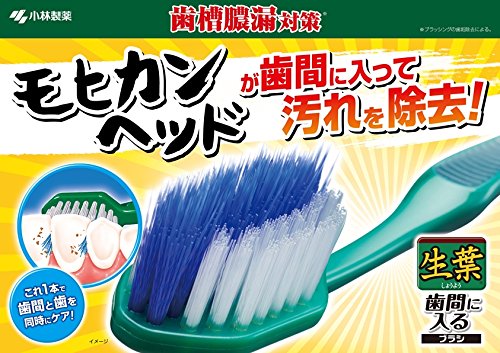生葉歯間に入るブラシ　コンパクト　ふつう 容量1本 小林製薬 歯ブラシ