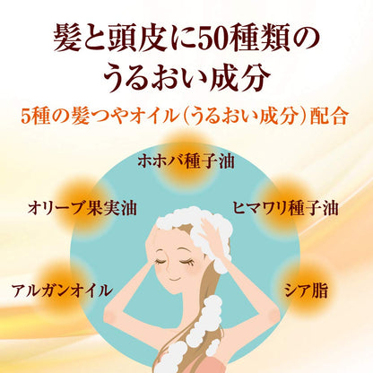５０の恵　髪と頭皮の養潤シャンプー 容量400ML ロート製薬 シャンプー