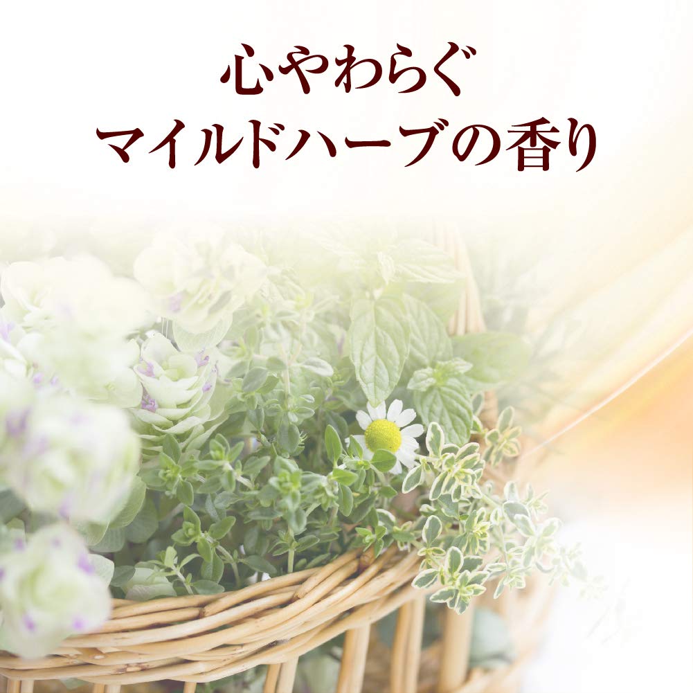 ５０の恵　髪と頭皮の養潤シャンプー 容量400ML ロート製薬 シャンプー