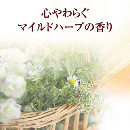 ５０の恵　髪と頭皮の養潤シャンプー 容量400ML ロート製薬 シャンプー