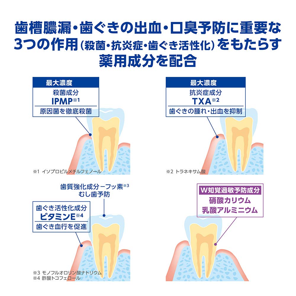 デントヘルス薬用ハミガキしみるブロック　２８ｇ 容量28G ライオン 歯磨き