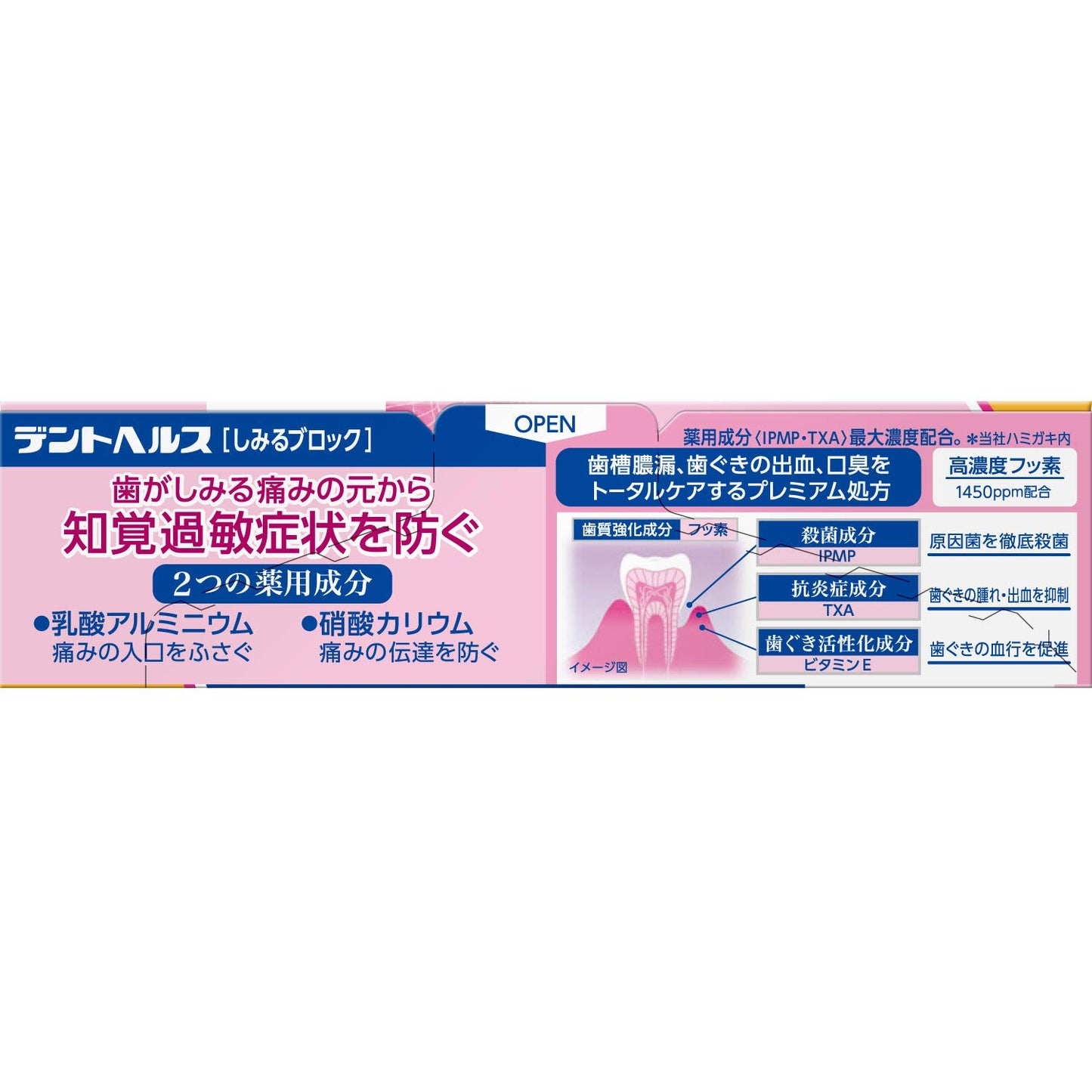 デントヘルス薬用ハミガキしみるブロック　８５ｇ 容量85G ライオン 歯磨き