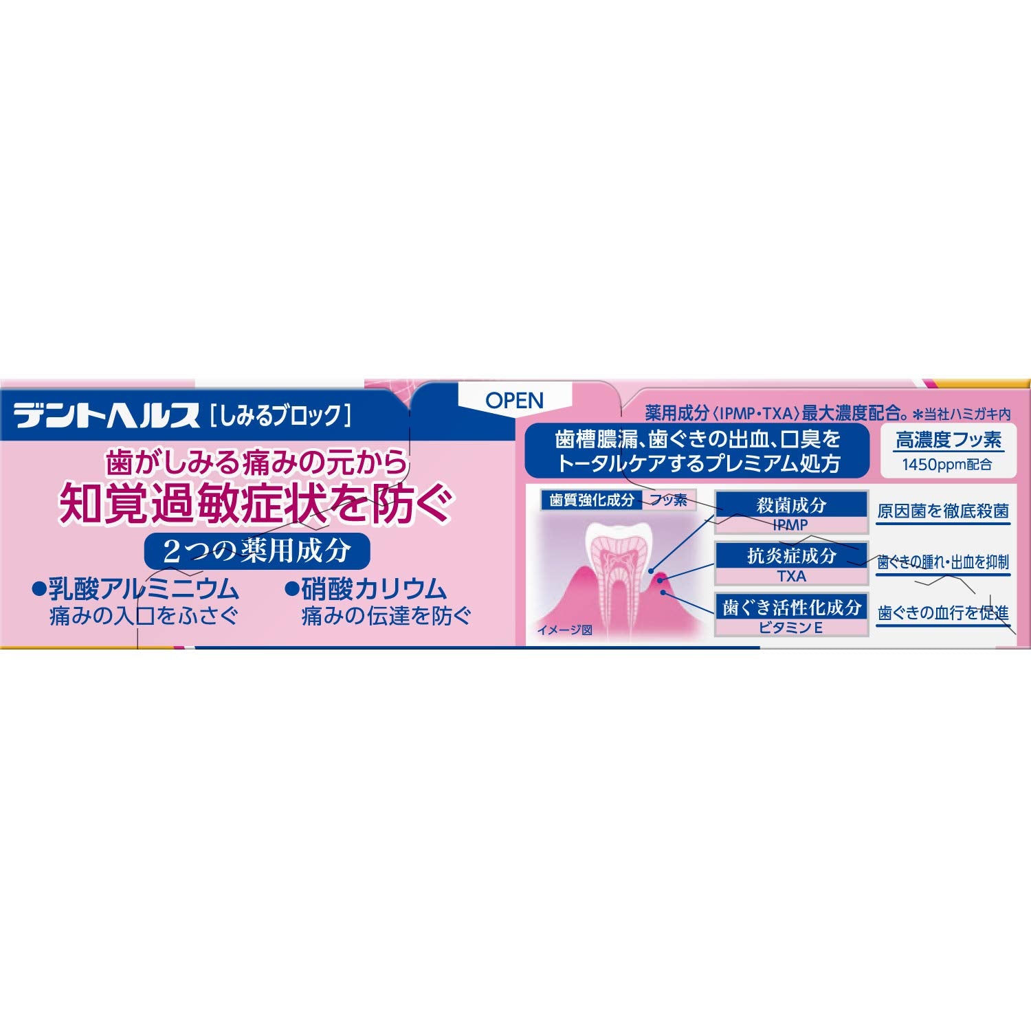 デントヘルス薬用ハミガキしみるブロック　８５ｇ 容量85G ライオン 歯磨き