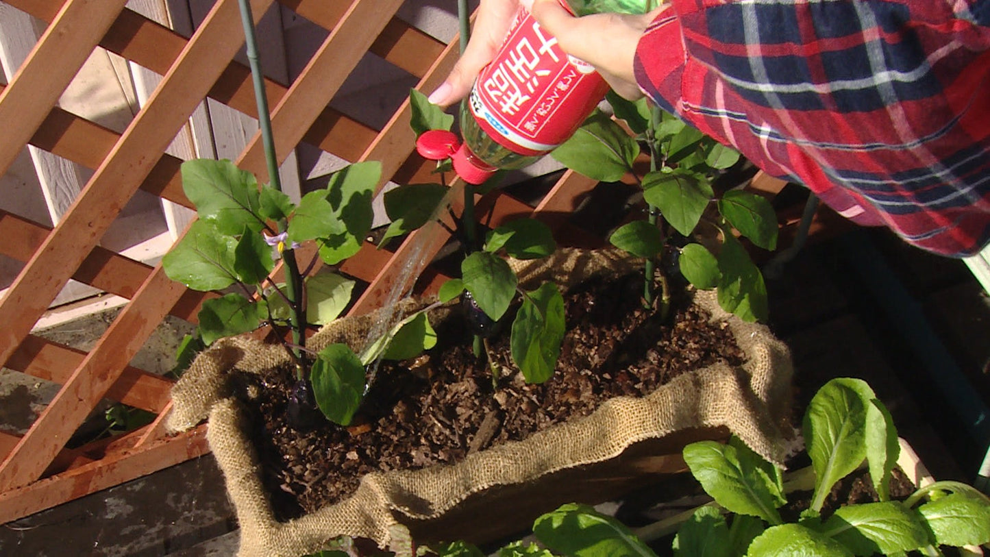 カダンシャワー液 容量1000ML フマキラー 園芸用品・除草剤