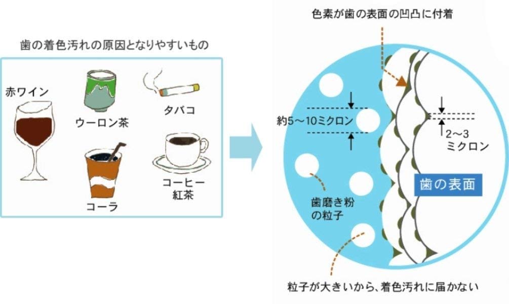 クリアデント歯のピーリングスポンジ（白） 容量3個 広栄社 デンタル用品
