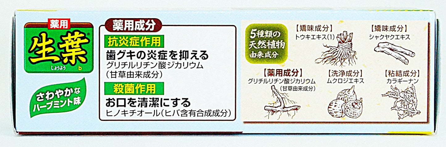 生葉b　お試しサイズ 容量40G 小林製薬 歯磨き