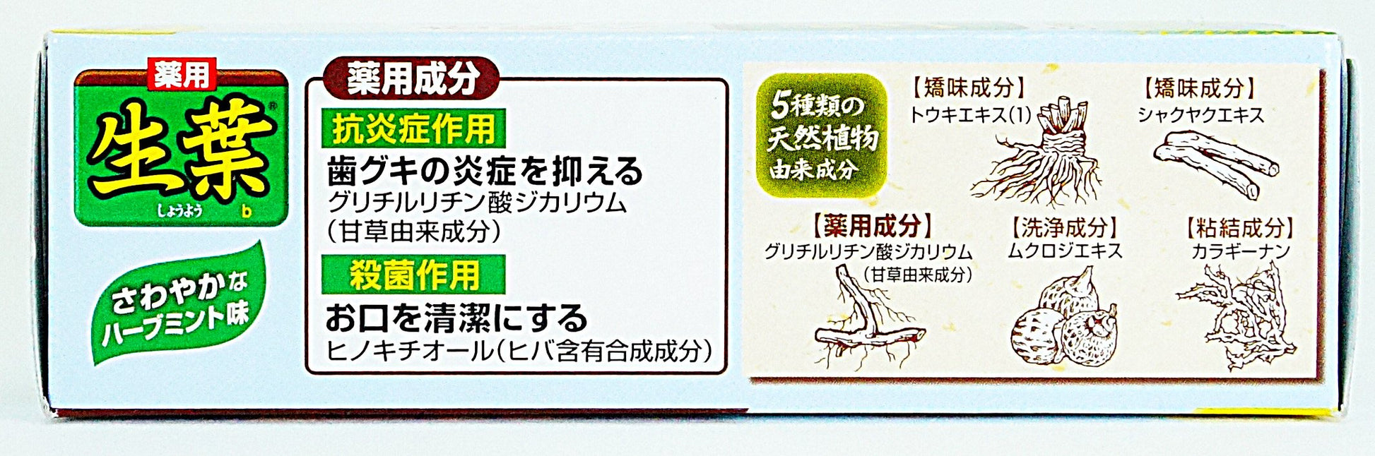 生葉b　お試しサイズ 容量40G 小林製薬 歯磨き