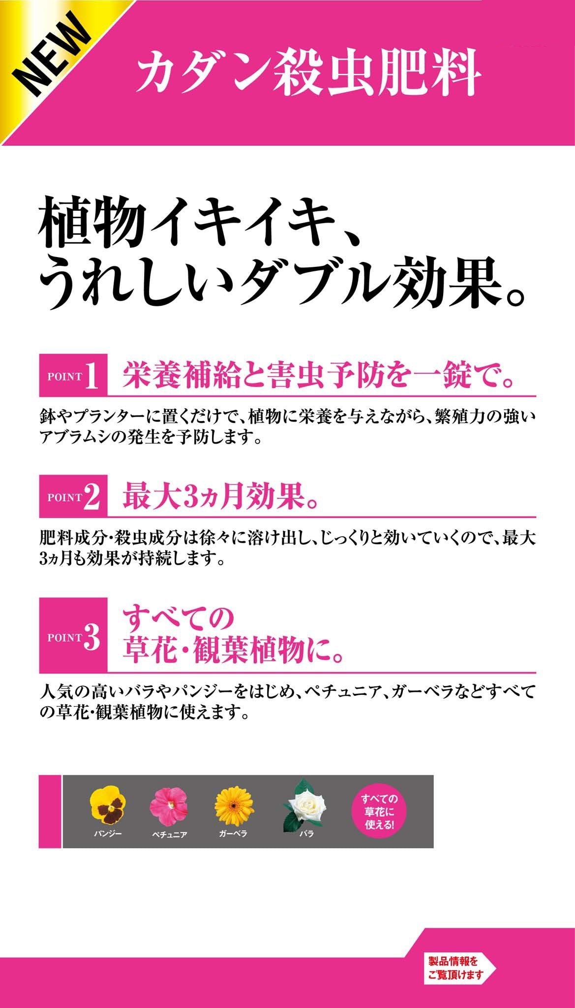 カダン殺虫肥料１２０Ｇ 容量120G フマキラー 園芸用品・除草剤