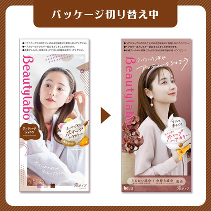 ビューティラボ　ホイップヘアカラー　アンティークショコラ 容量125ML ホーユー ヘアカラー・黒髪用