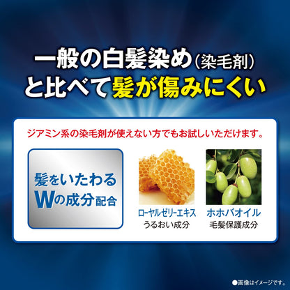 サロンドプロ　ＥＸメンズヘアマニキュア（白髪用）　７＜ナチュラルブラック＞容量1個