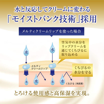メンソレータム　メルティクリームリップ　ミルクバニラ　２．４ｇ 容量1個 ロート製薬 リップクリーム