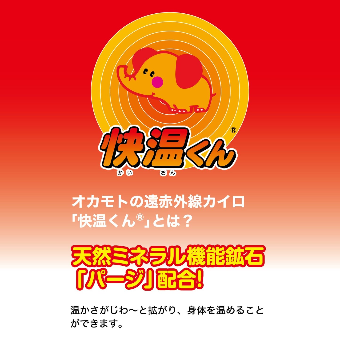 はらない快温くんレギュラー３０コ入 容量30個 オカモト カイロ