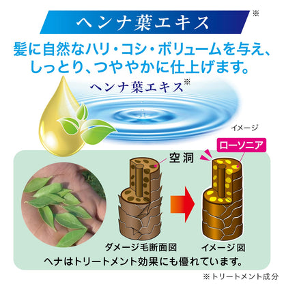 テンスター　カラーＣＤ　ＦＯＲ　ＭＥＮ（ＮＢＫ） 容量178G 三宝商事 ヘアカラー