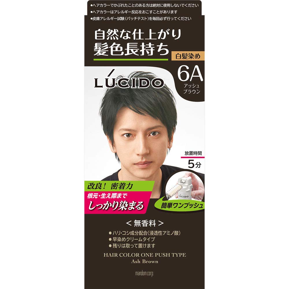 ルシード　ワンプッシュケアカラー　アッシュブラウン　（医薬部外品） 容量1個 マンダム ヘアカラー