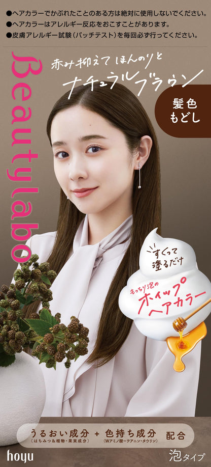 BeautyLabo（ビューティラボ） ホイップヘアカラー 髪色もどし ナチュラルブラウン 容量125MLヘアカラー・黒髪用