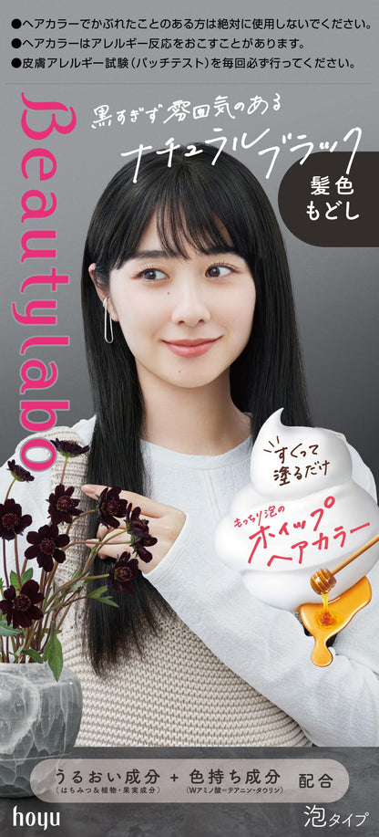 BeautyLabo（ビューティラボ） ホイップヘアカラー 髪色もどし ナチュラルブラック 容量125MLヘアカラー・黒髪用