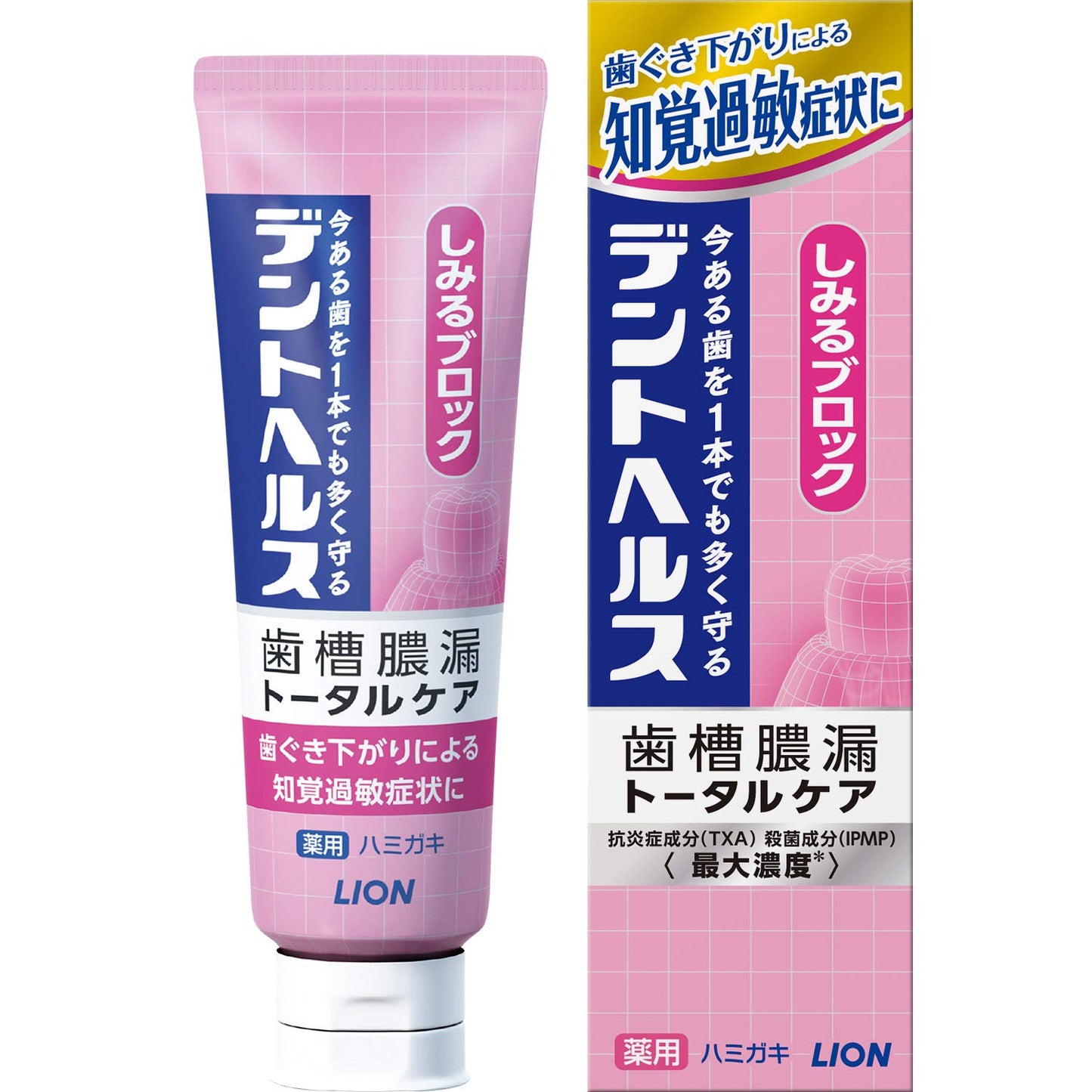デントヘルス薬用ハミガキしみるブロック　８５ｇ 容量85G ライオン 歯磨き