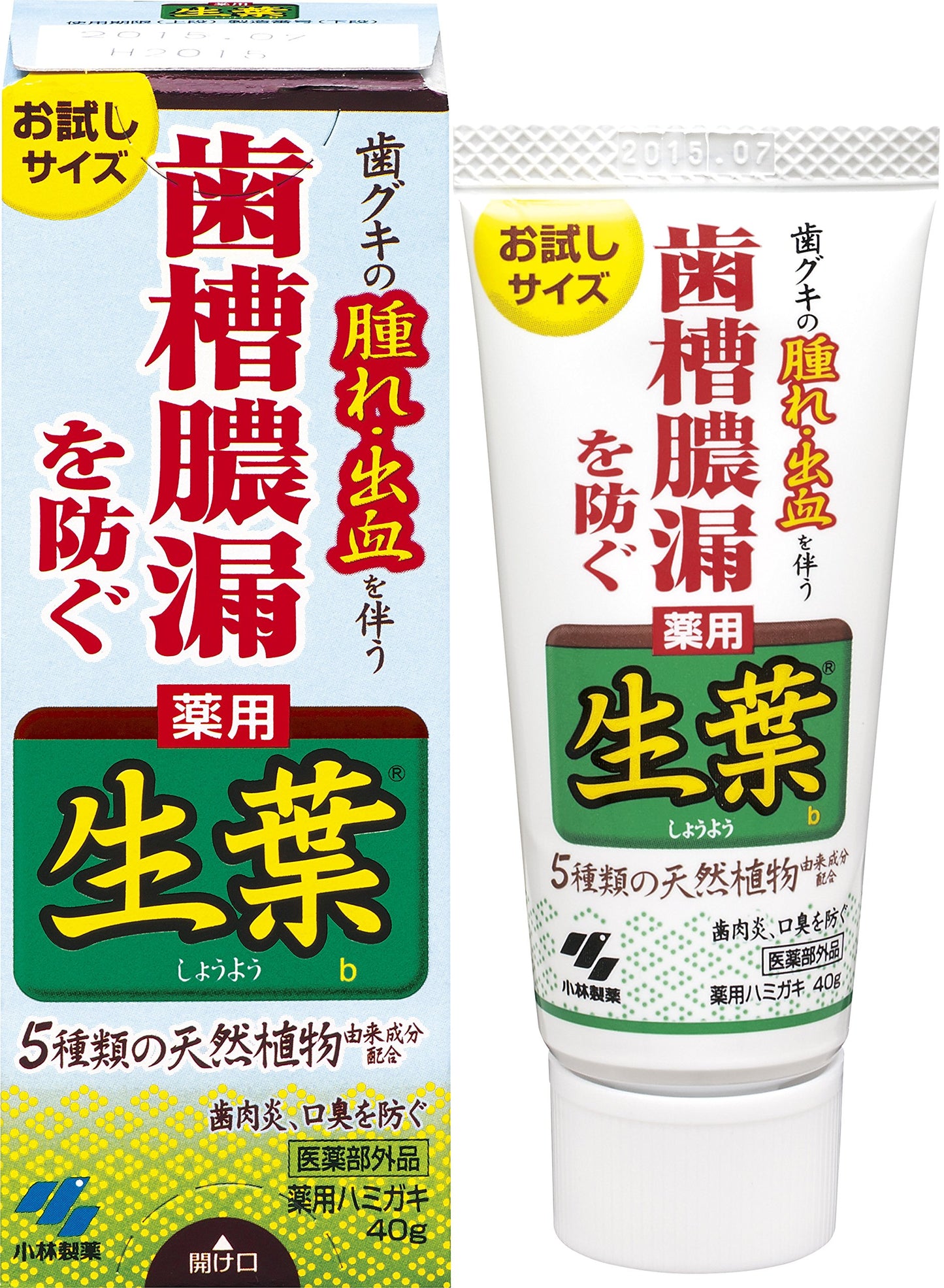 生葉b　お試しサイズ 容量40G 小林製薬 歯磨き