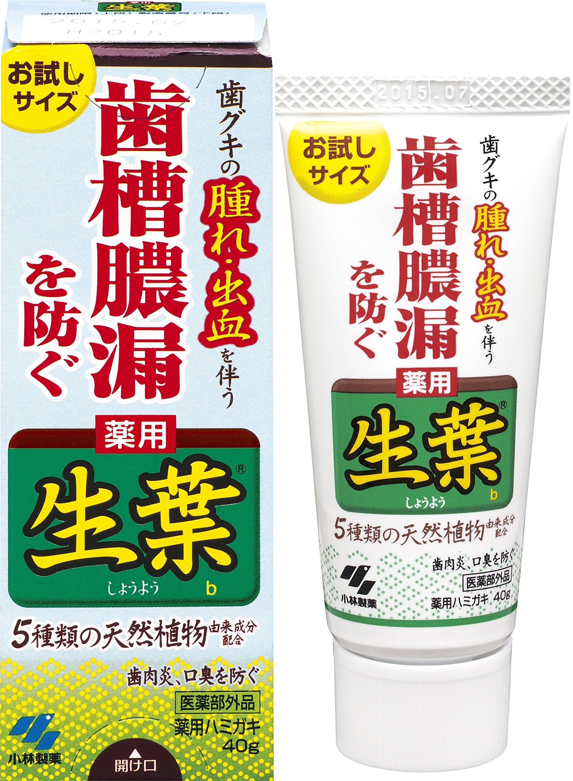 生葉b　お試しサイズ 容量40G 小林製薬 歯磨き