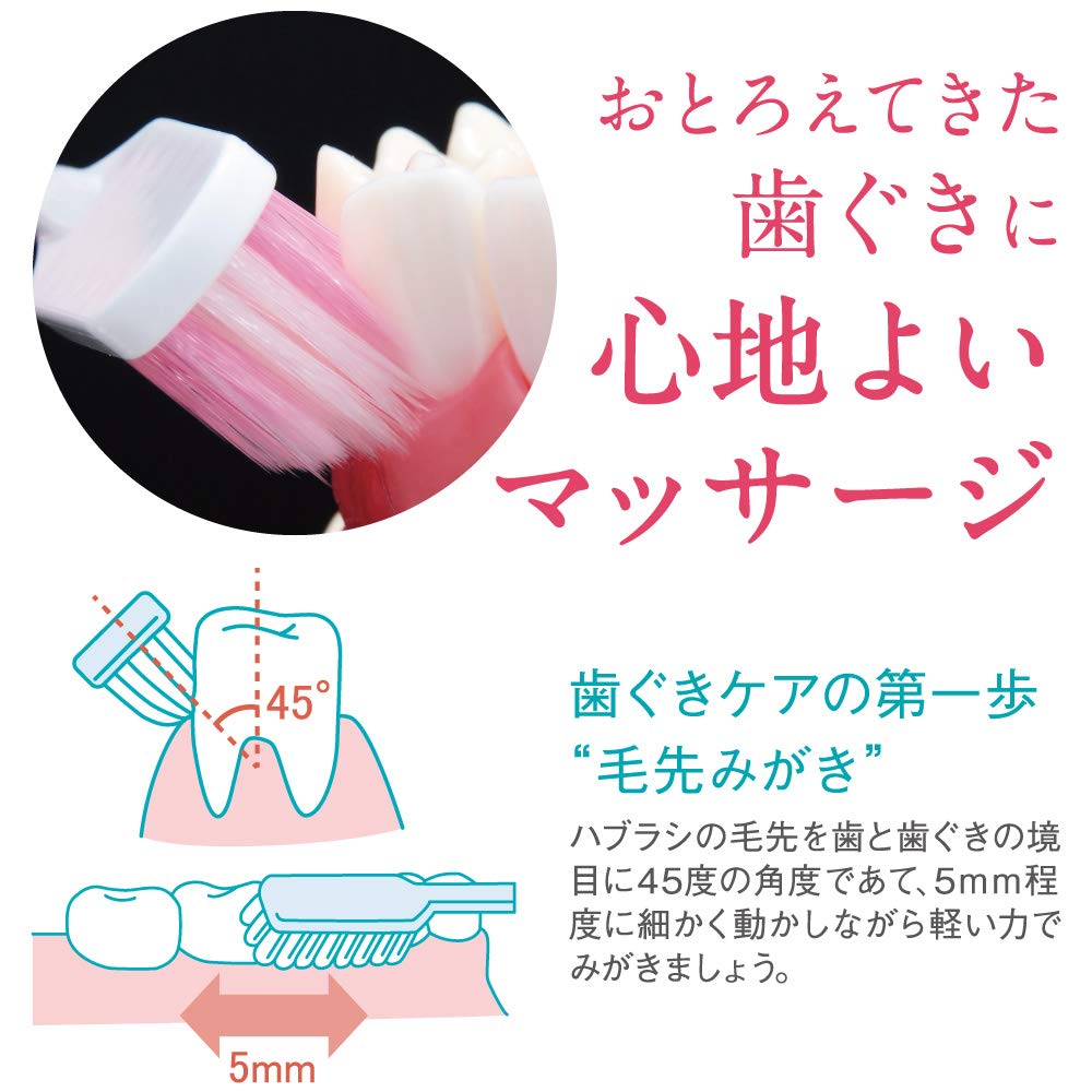 システマハグキプラスハブラシ　超コンパクト　やわらかめ 容量1ホン ライオン 歯ブラシ