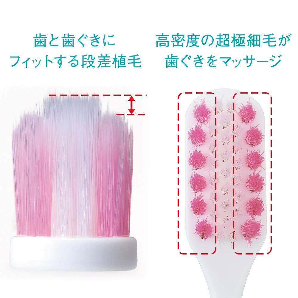 システマハグキプラスハブラシ　ワイドヘッド　やわらかめ 容量1ホン ライオン 歯ブラシ