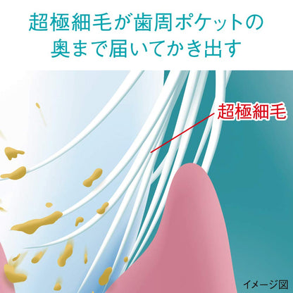 システマハグキプラスハブラシ　ワイドヘッド　やわらかめ 容量1ホン ライオン 歯ブラシ